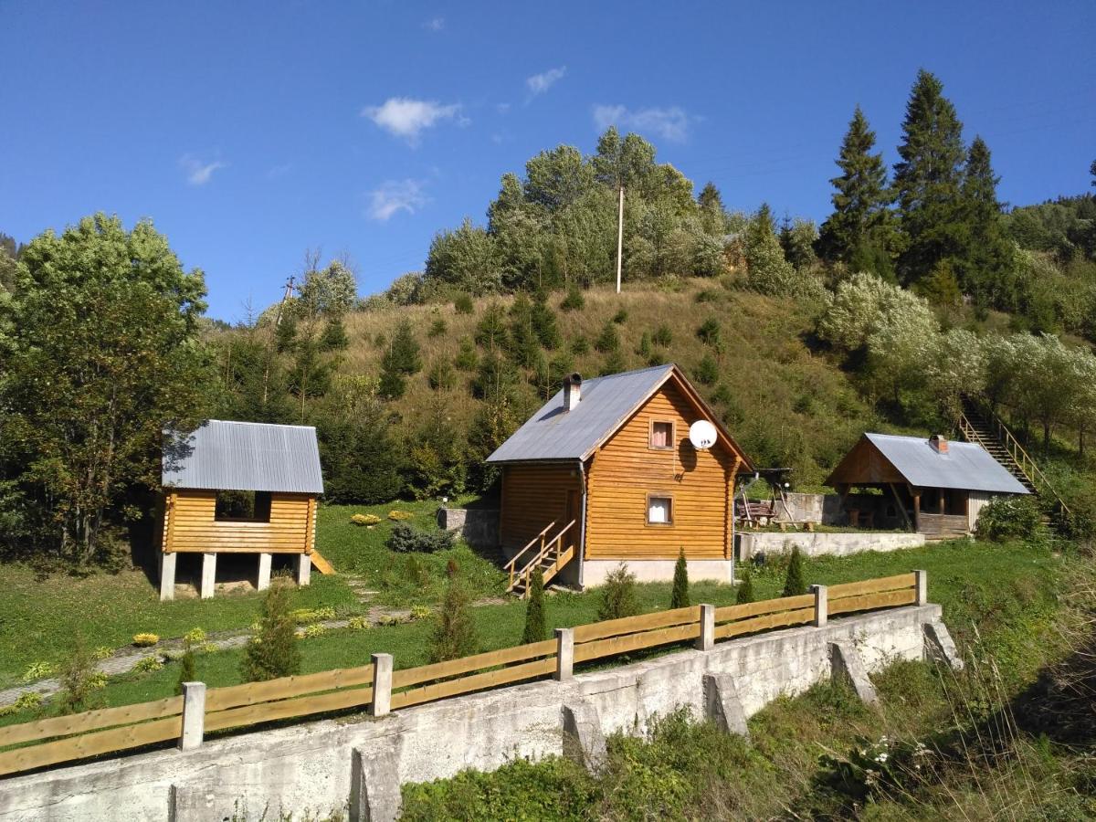 Садиба Віват Villa Oryavchyk Exteriör bild