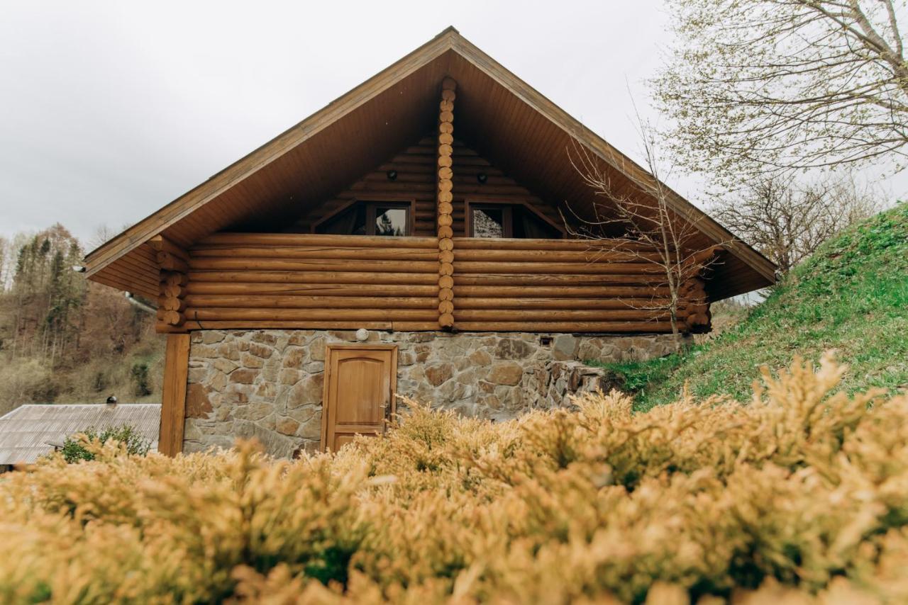 Садиба Віват Villa Oryavchyk Exteriör bild